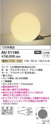 AU51180