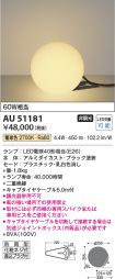 AU51181