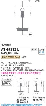 AT49313L