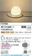 AT51306