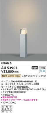 AU53901