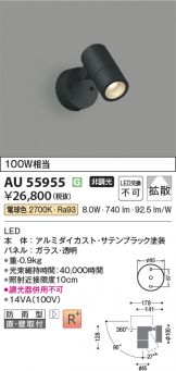 AU55955