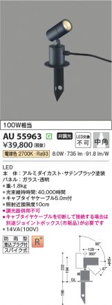 AU55963