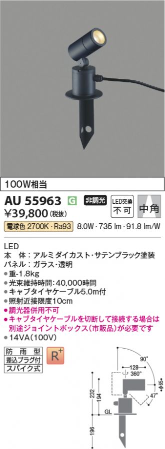 AU55963