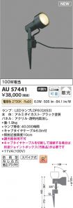 AU57441