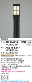 AU38613L