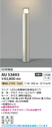AU53893
