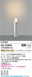 AU53896