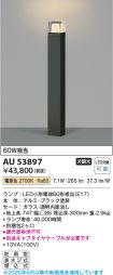 AU53897