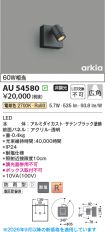 AU54580