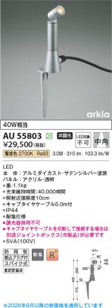 AU55803