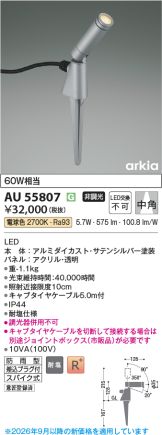 AU55807