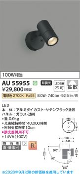 AU55955