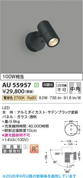 AU55957