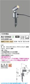 AU55960