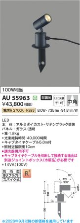 AU55963
