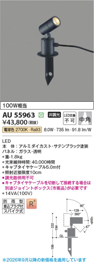 AU55963