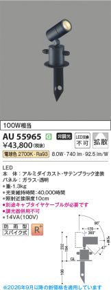 AU55965