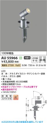 AU55966