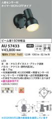 AU57433