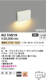 AU55819