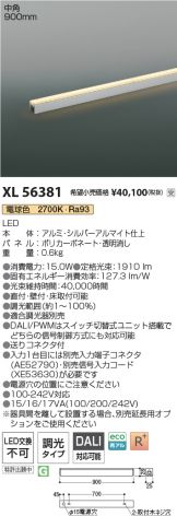 XL56381
