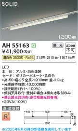 AH55163