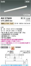AH57809