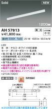 AH57813
