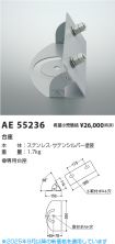 KAE55236