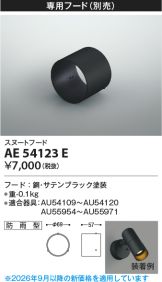 AE54123E