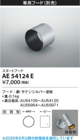 AE54124E