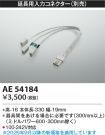 AE54184