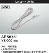 AE58381