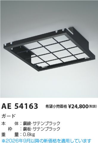 AE54163