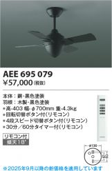 AEE695079