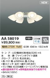 AA58019
