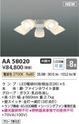AA58020