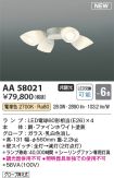 AA58021