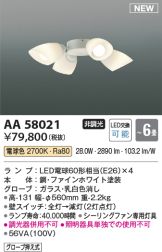 AA58021