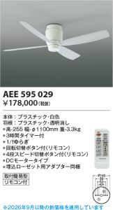 AEE595029