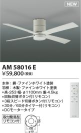 AM58016E