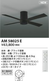 AM58025E