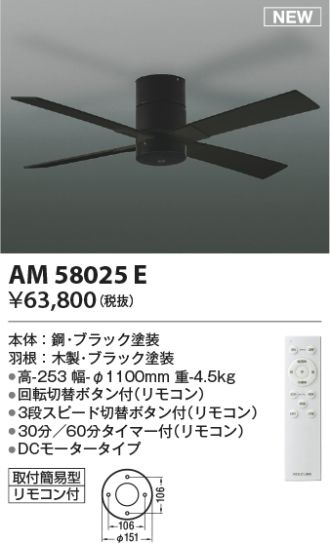 AM58025E