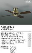 AM58033E