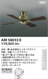 AM58033E