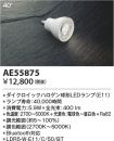 KAE55875
