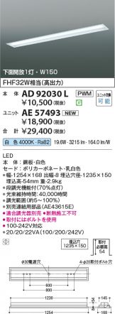 AE57493