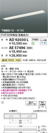 AE57496