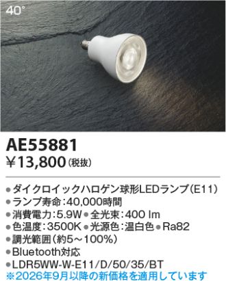 AE55881
